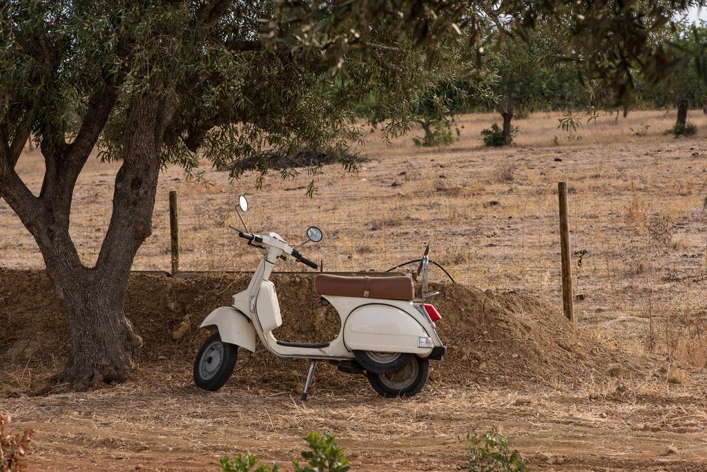 בית הארחה קבאנס דה טאבירה 	Pensao Agricola מראה חיצוני תמונה