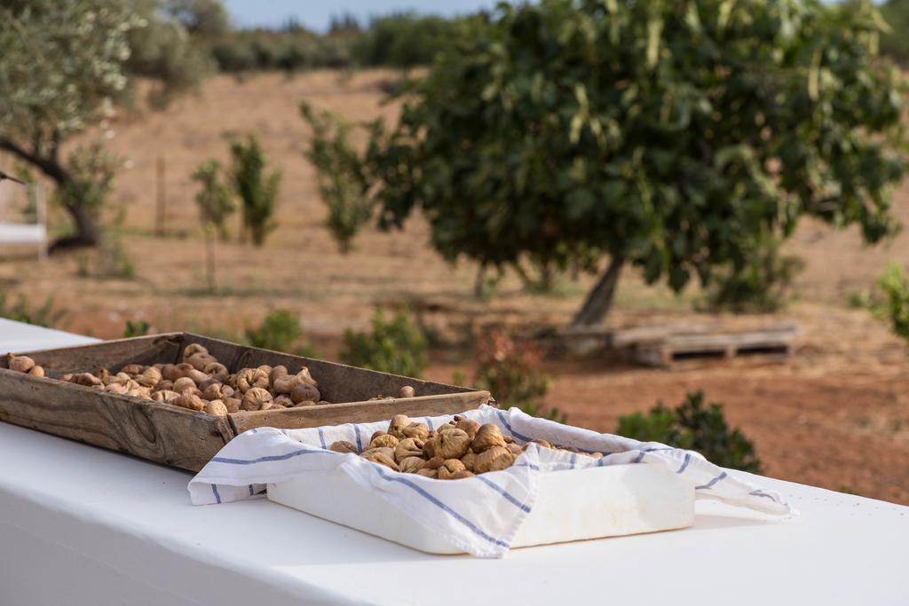 בית הארחה קבאנס דה טאבירה 	Pensao Agricola מראה חיצוני תמונה