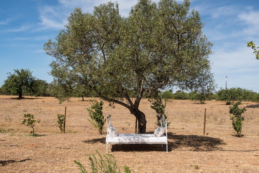 בית הארחה קבאנס דה טאבירה 	Pensao Agricola מראה חיצוני תמונה