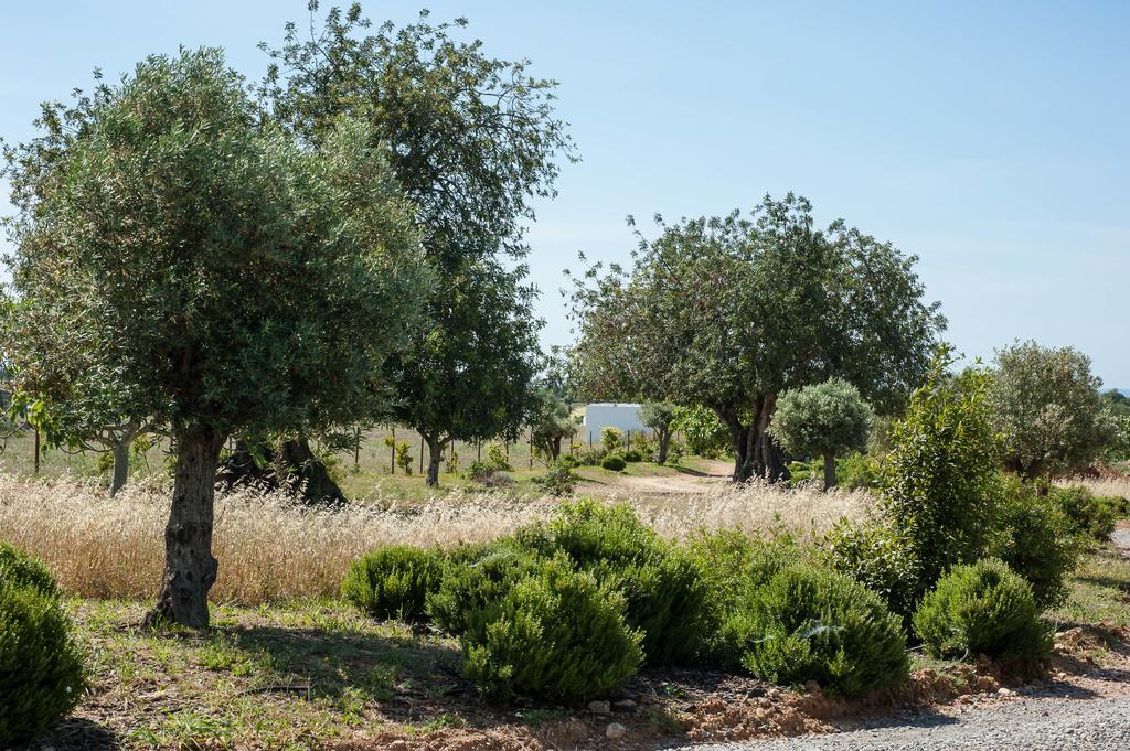 בית הארחה קבאנס דה טאבירה 	Pensao Agricola מראה חיצוני תמונה